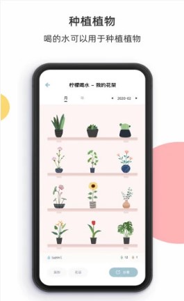 柠檬喝水app桌面小组件