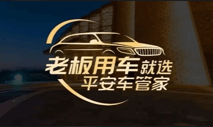 平安车管家app官方下载