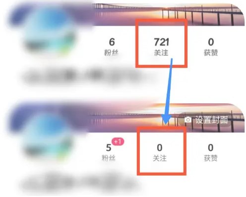 筷子助手app(快手一键取关助手)