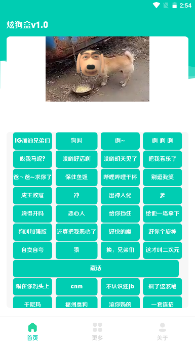 炫狗盒app