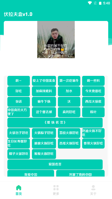 伏拉夫盒语音包