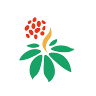 文山三七通app