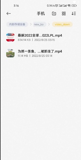 布偶去水印app