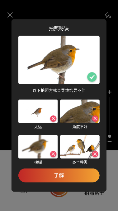 拍照识‪鸟Picture Bird软件专业版