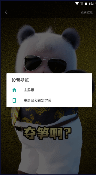 皮皮动态壁纸免广告会员版