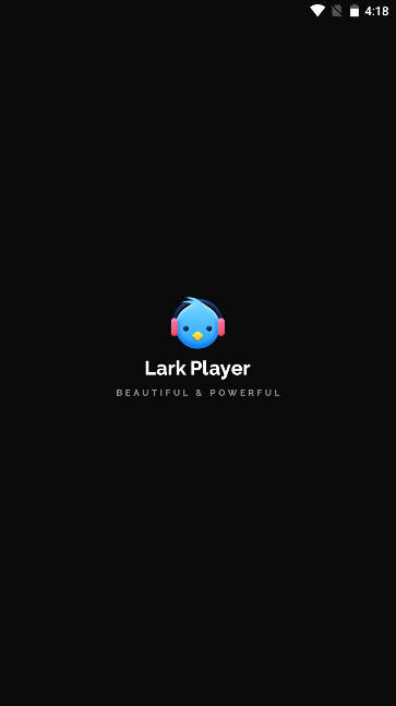 云雀音乐播放器app会员版(Lark Player)