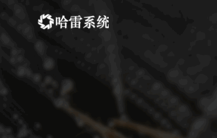 哈雷助手亚马逊广告分析APP