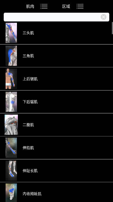 肌肉激痛点安卓中文版