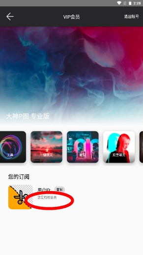 大神P图解锁vip版2022