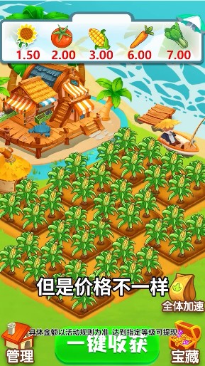 夏日半岛红包版