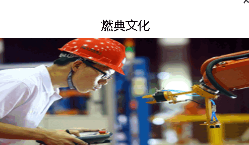 燃典APP下载安卓版本