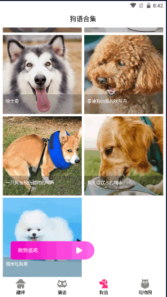 狗语翻译交流器永久会员版