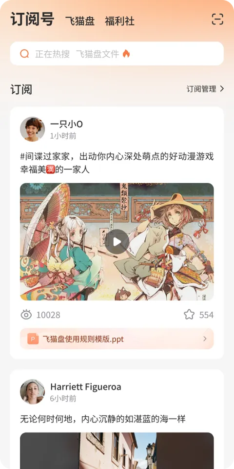 飞猫盘免费下载