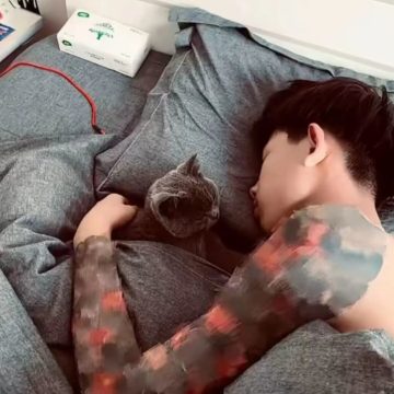 听海软件库app