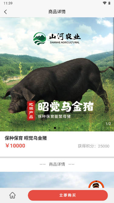 山河村乌金猪app