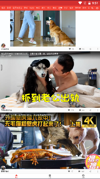 西瓜视频手表最新版本2023官方版