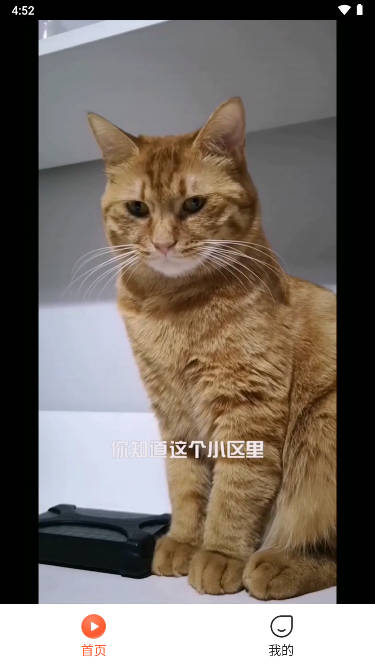 飞鱼短剧app斩龙下载