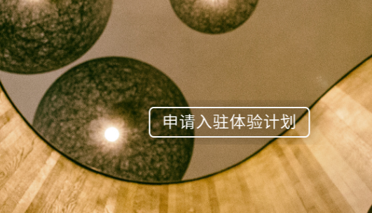 爻卜云八字排盘工具APP