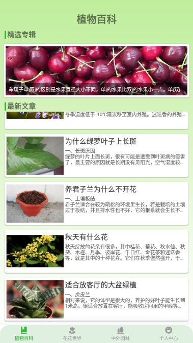 植物视界红包游戏